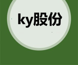 Kaiyun体育集团股份有限公司官方logo